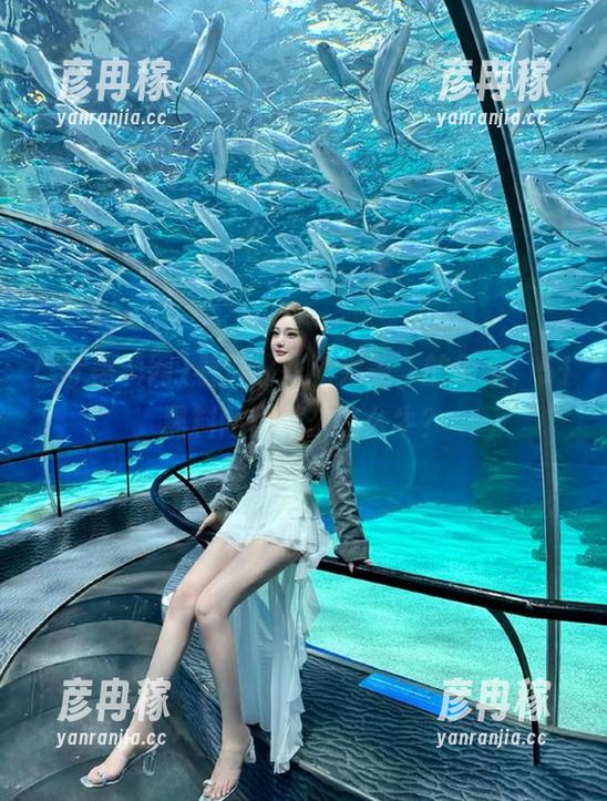 51黑料网 看透那些“完美”的假象,51黑料网凭什么这么牛?