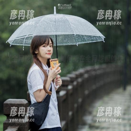 全网吃瓜 求教,如何把在全网吃瓜的快乐,转化为永久的享受?
