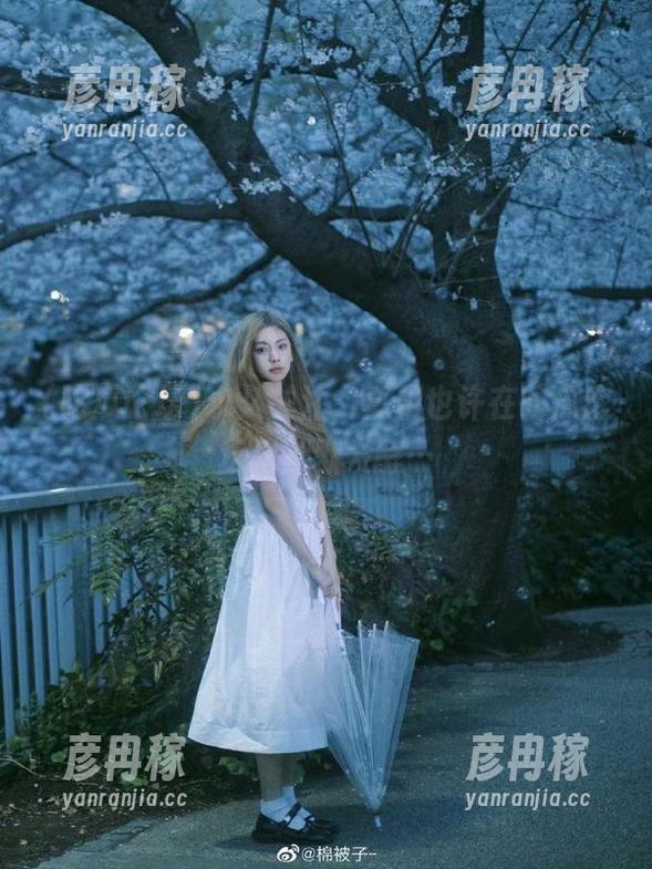 永久关注，真相也许在吃瓜论坛里默默发酵…