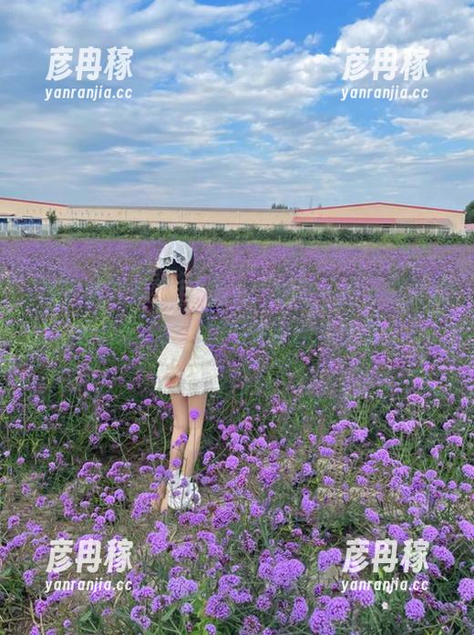“国产黑料”地址一出，瓜友们的疯狂点赞，如同追剧般的快感！
