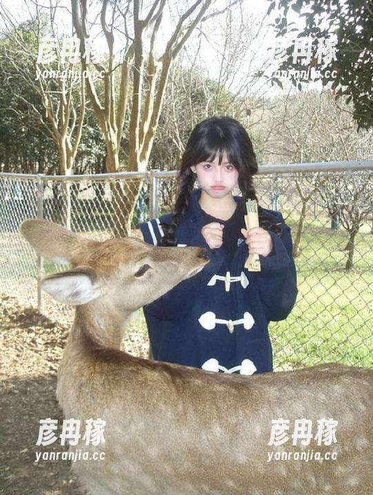 吃瓜不动脑，在线吃瓜网51导航教你轻松做“围观群众”