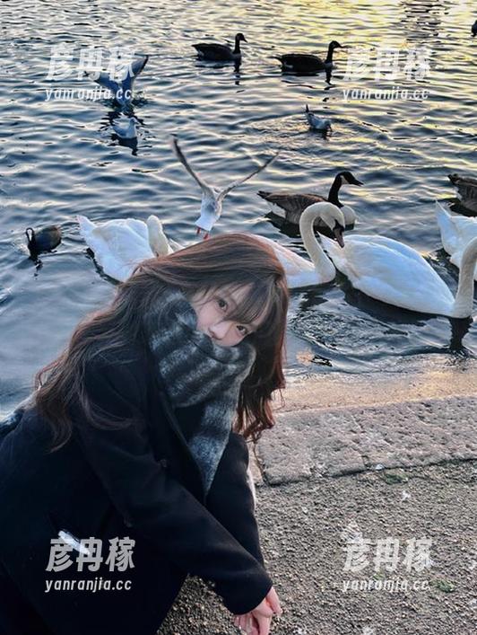 黑料不打烊 免费吃瓜的秘密:在“黑料不打烊”刷家的小伙伴们真是太有眼光了!